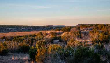 10,000-acre hunter's paradise hits the market in the Panhandle