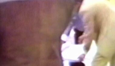Remembering the deadliest car crash in Houston history 50 years later