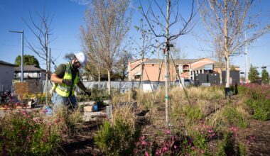 BlackRock gives $30 million to boost Texas electricians