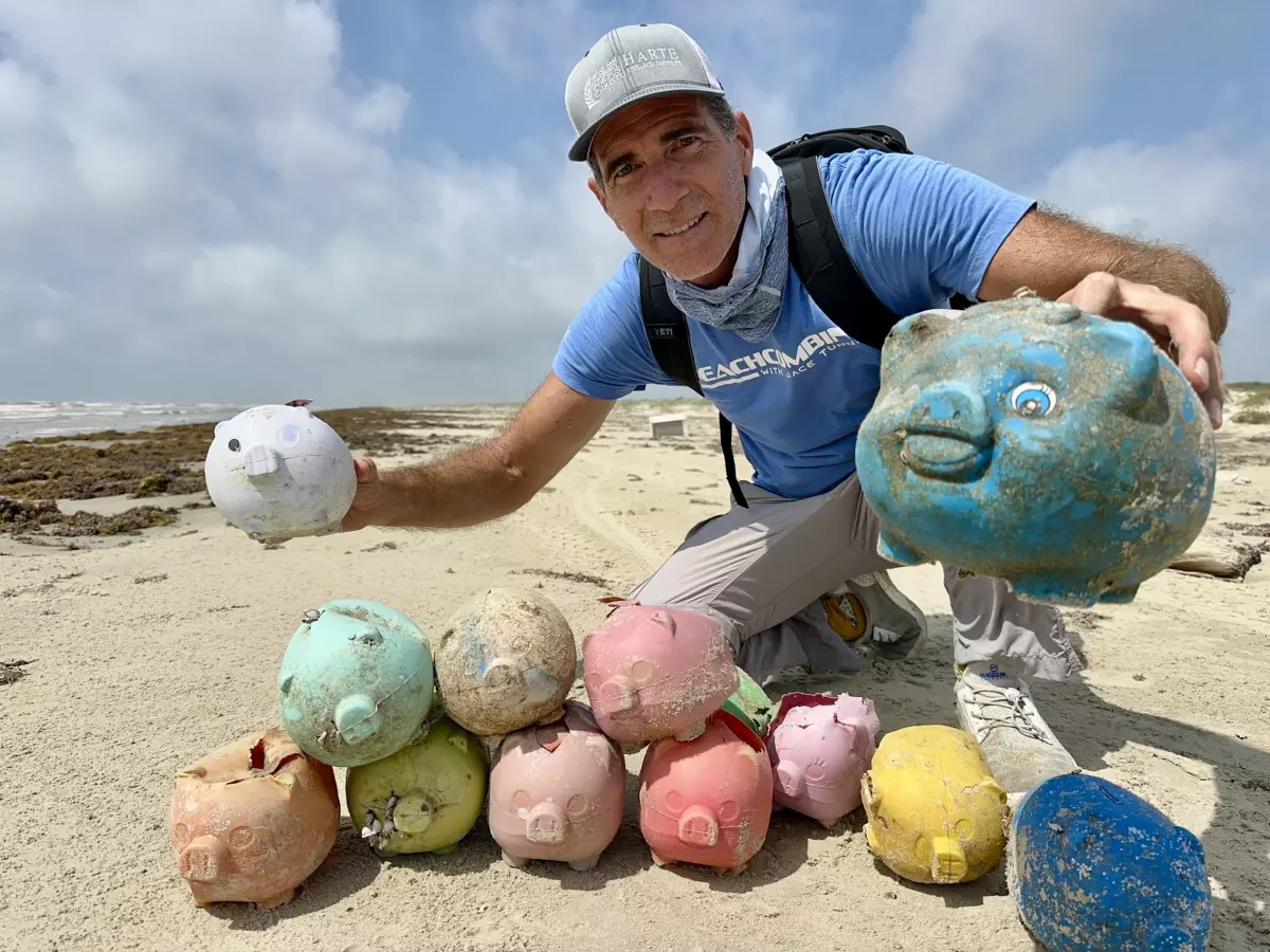Jace Tunnell poses with some of the 'sea pigs' he's found.