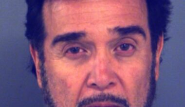 Texas couple charged after leaving dog to die inside hot car