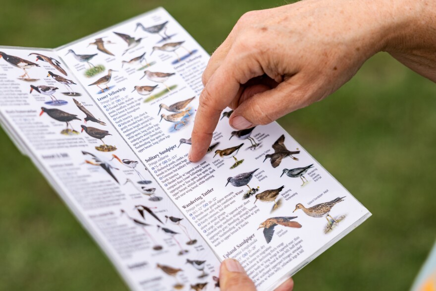 A person holds and points to a pamphlet with birds on it.