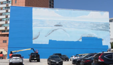 Dallas Whaling Wall mural to be replaced by FIFA artwork