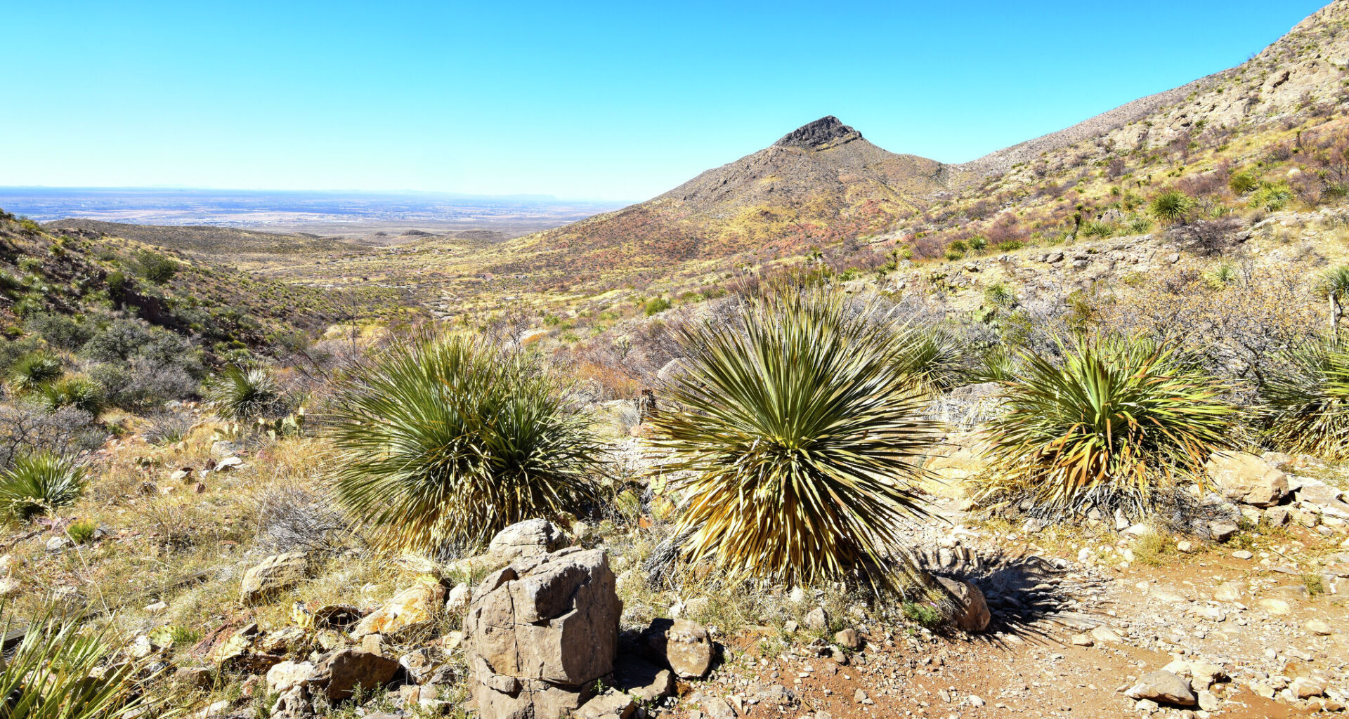 A huge Texas state park just added more than 1,000 acres
