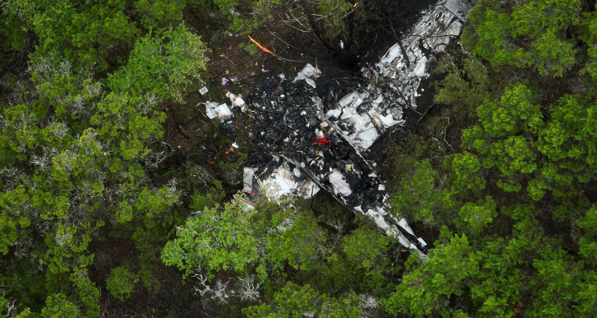 Plane carrying pickleball players to Texas tournament broke apart midair, report finds