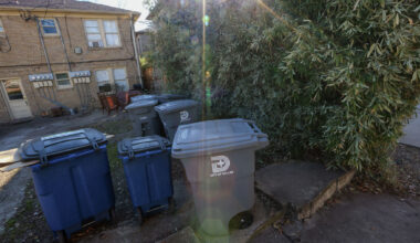 Trash and recycling bins sit in an alleyway of Hawthorne Avenue in Dallas on Wednesday, Jan. 4, 2023.