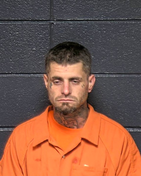 Texas man arrested with meth, gun, paraphernalia in DeSoto Parish