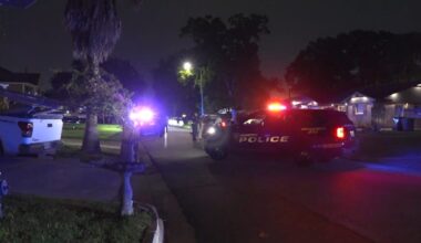Houston Flamingo Drive: Woman accused of stabbing family member