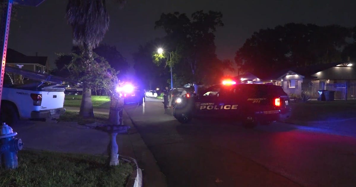 Houston Flamingo Drive: Woman accused of stabbing family member