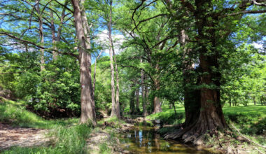Why Nat Geo loves this tiny Texas Hill Country town