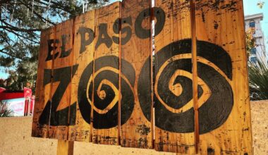El Paso Zoo converting old exhibit into endangered species lab
