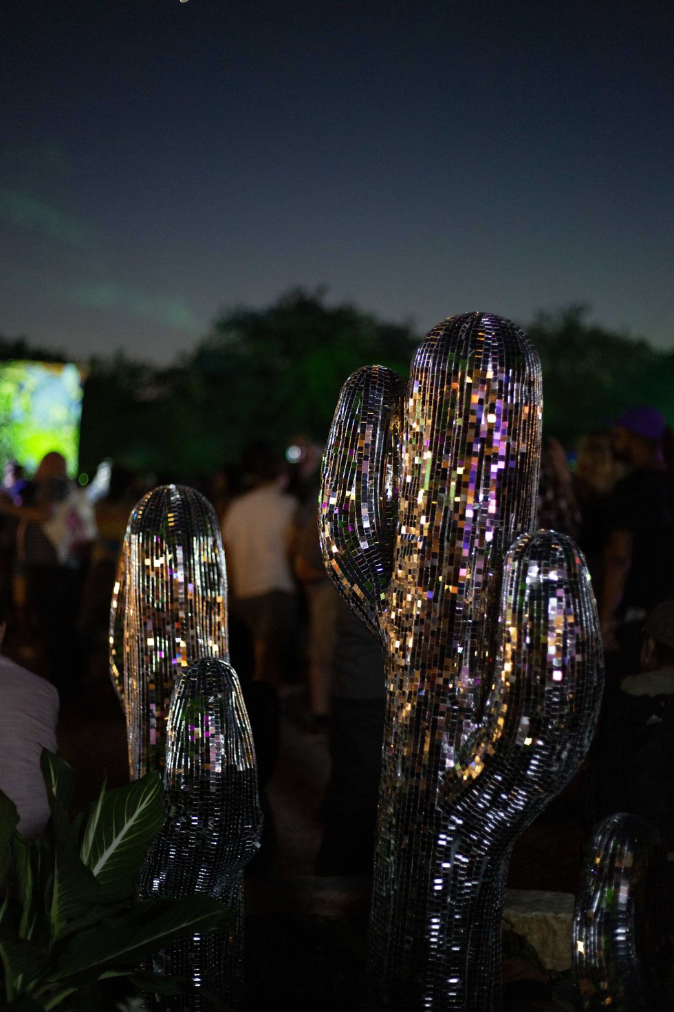 Disco cacti at Austin Psych Fest 2026