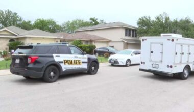 Pit bull ordered to be euthanized after attacking 80-year-old woman on Northwest Side, ACS says