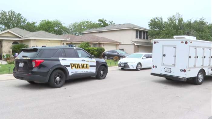 Pit bull ordered to be euthanized after attacking 80-year-old woman on Northwest Side, ACS says