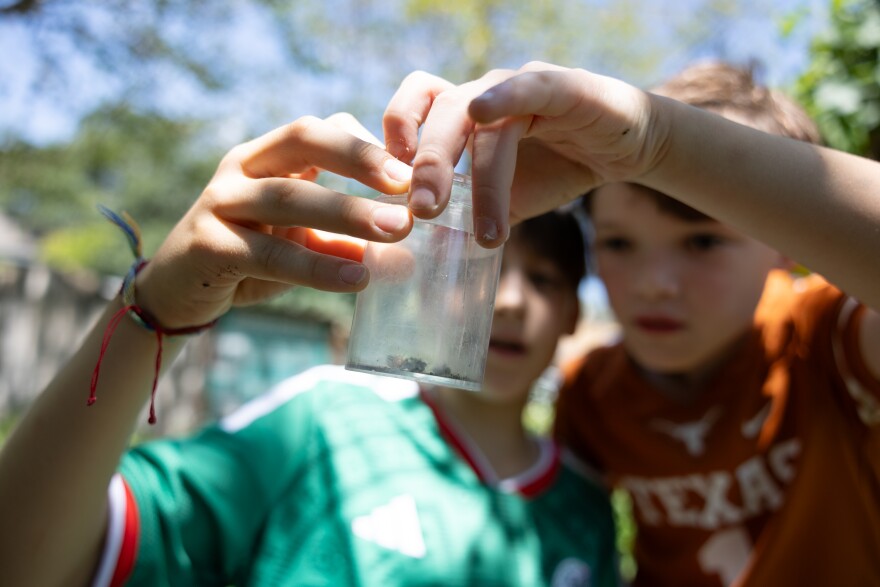 Two young boys hold up a glass with a bug in it in front of their faces.