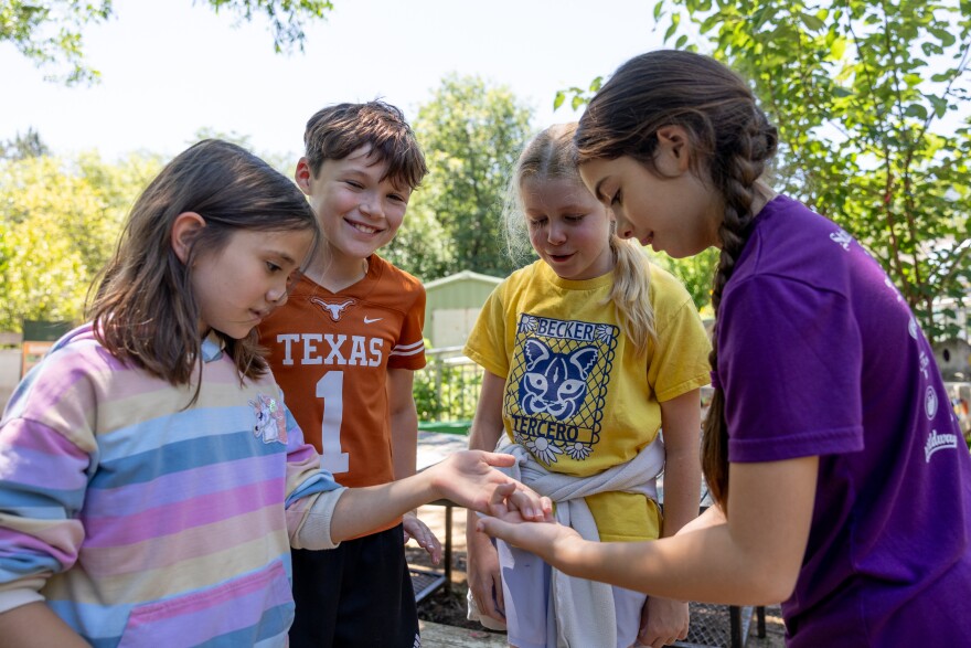 Four 9 year old kids hold out their hands to touch a bug in another kid's hand.