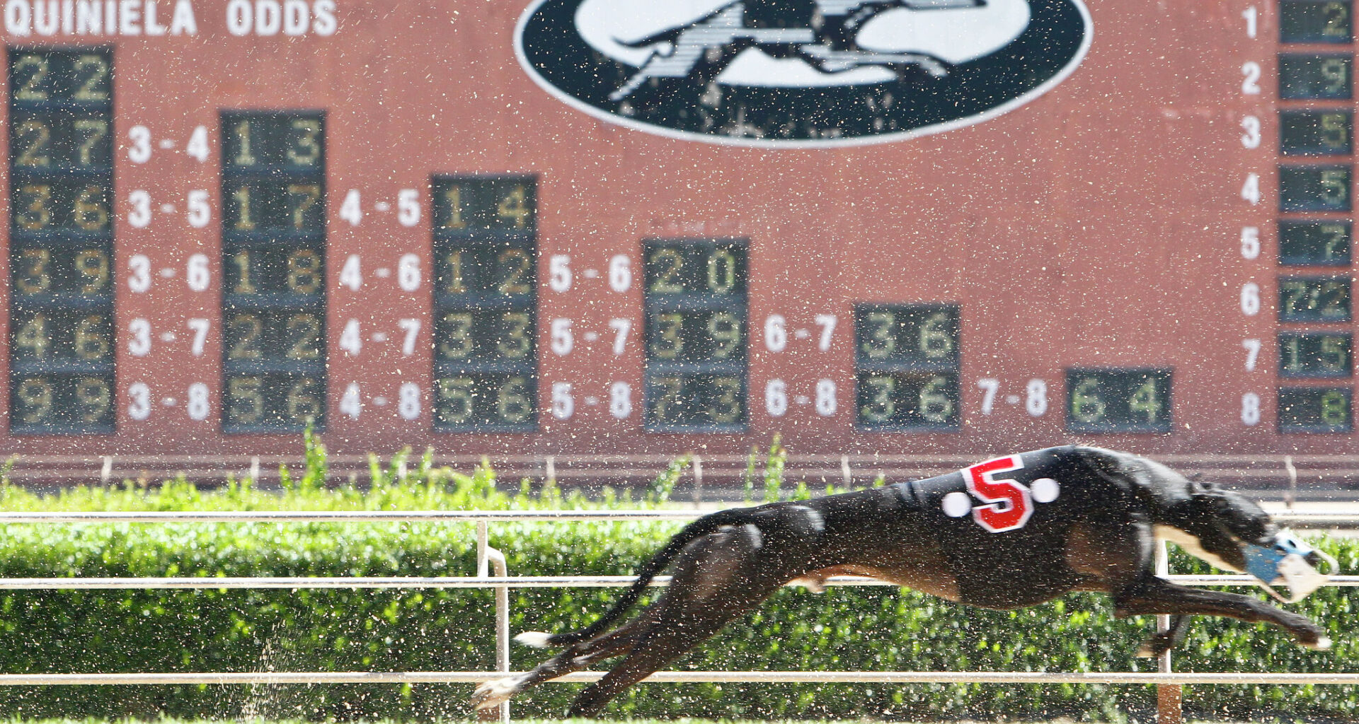 Once-famous Texas Greyhound track to be replaced by giant retail hub