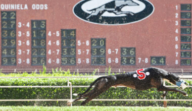 Once-famous Texas Greyhound track to be replaced by giant retail hub