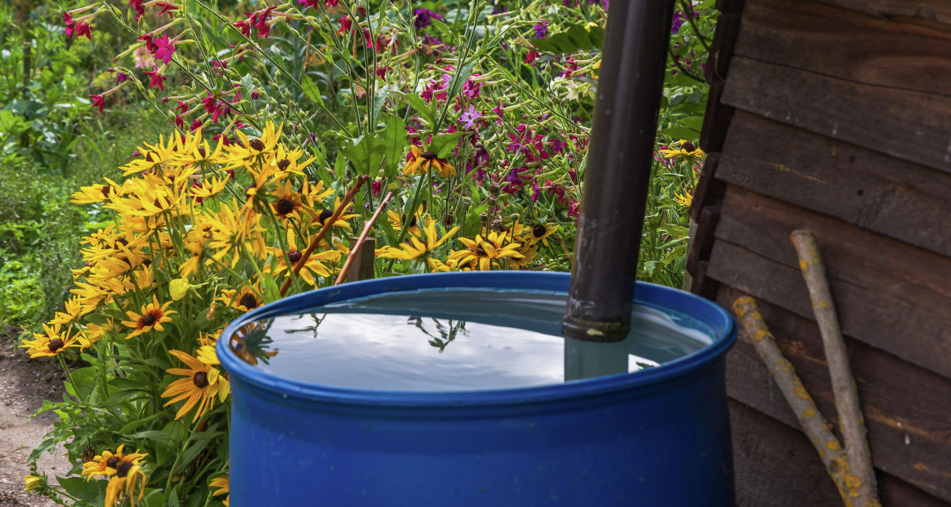 Is it illegal to collect rainwater in Texas?