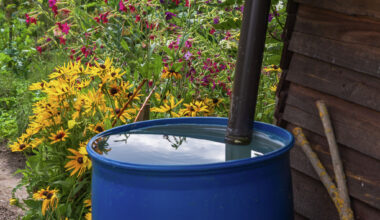 Is it illegal to collect rainwater in Texas?