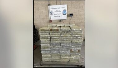 $14.7M in meth hidden in lettuce shipment seized at Texas border