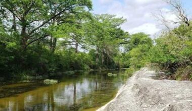 Austin acquires 50 acres of parkland along Onion Creek