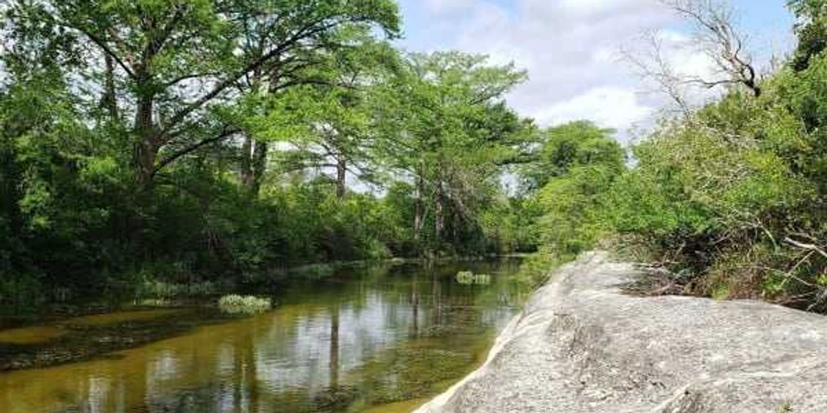 Austin acquires 50 acres of parkland along Onion Creek