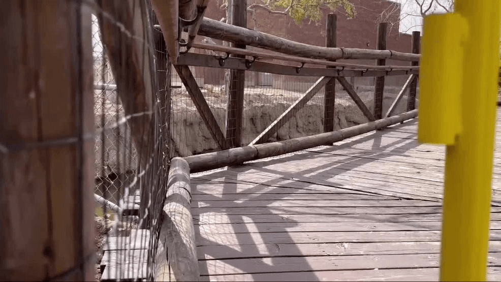 El Paso Zoo Africa wooden boardwalk. Credit: KFOX14/CBS4{br}