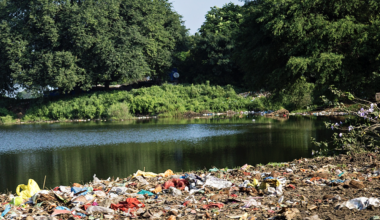 Trash Free Gulf campaign seeking volunteers for Memorial Day weekend cleanup in San Antonio