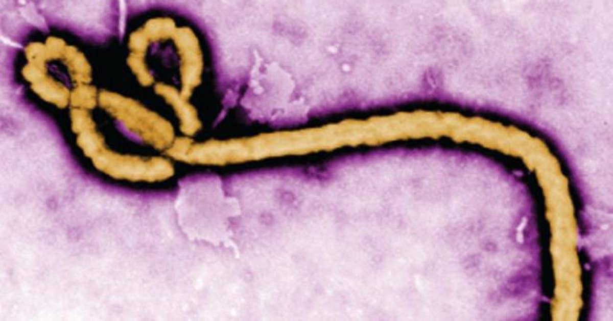 Harris County officials say World Cup events remain low risk amid Ebola monitoring