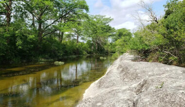 Austin secures 50 acres of parkland in booming Central Texas area