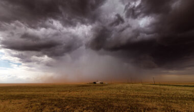 Strongest El Niño in 140 years? What this means for Texas.