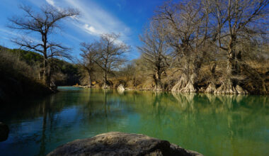 New details on massive river park coming near San Antonio