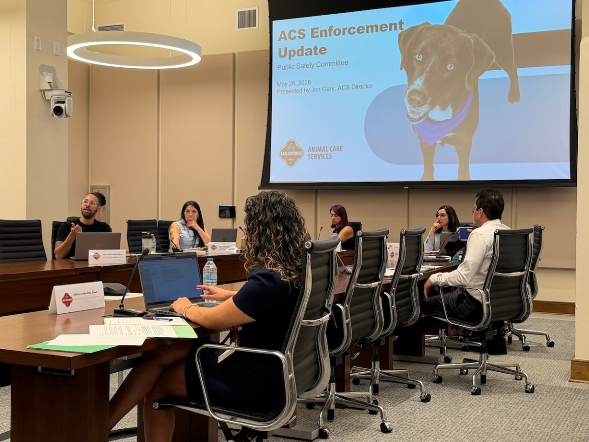 San Antonio dog bite cases rise despite $15 million budget increase for Animal Care Services