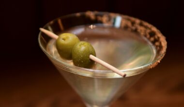 'World's coldest martini' spot opening two new Texas locations