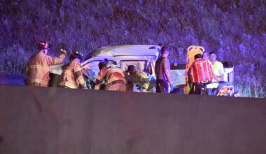 One dead, another hospitalized after early morning wrong-way crash on Highway 121