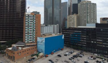 Dallas World Cup Mural: Artist Wyland Says Beloved Whale Artwork Was Painted Over