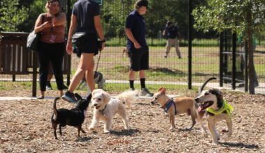 San Antonio unleashes new dog park at Concepcion Park