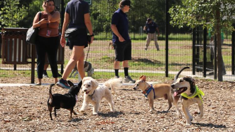 San Antonio unleashes new dog park at Concepcion Park