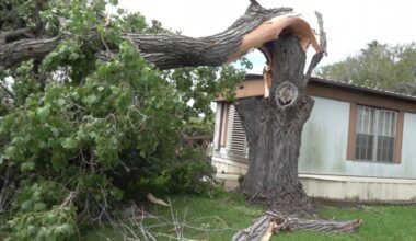 City adjusts storm debris collection following severe weather