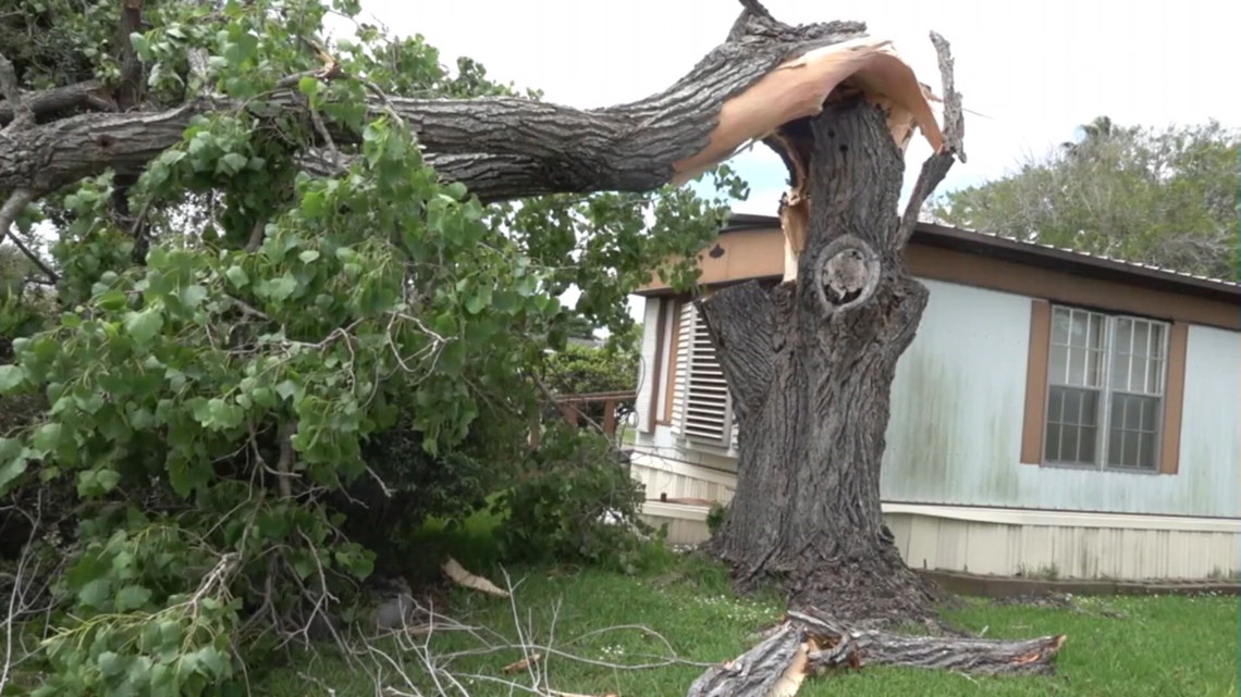City adjusts storm debris collection following severe weather
