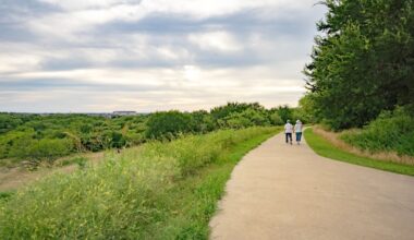 Plano Hits Highest-Ever Park Ranking In New National Report - Local Profile