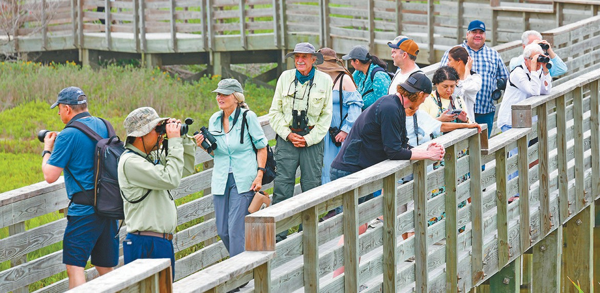 Spring migration excursion - Port Aransas South Jetty