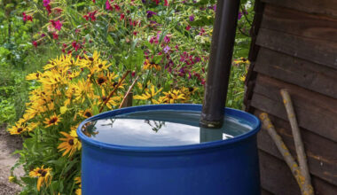 Is it illegal to collect rainwater in Texas? What the law says