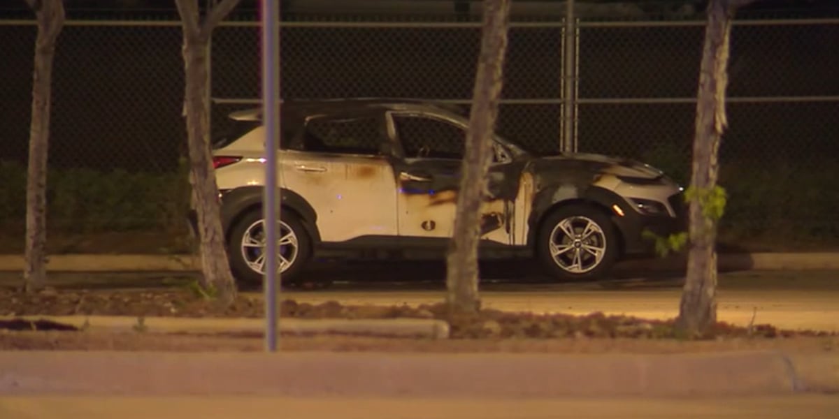 Texas mother charged with capital murder after children found dead inside torched car