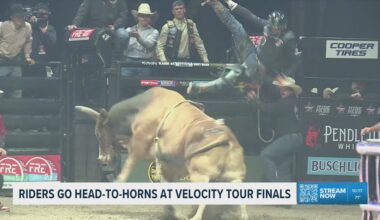 PBR Pendleton Whisky Velocity Tour Finals end with grit and glory