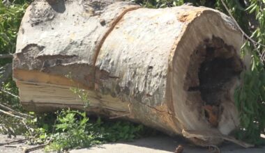 Storm cleanup leaves Corpus Christi homeowner facing costly repairs
