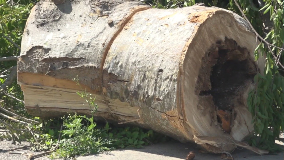Storm cleanup leaves Corpus Christi homeowner facing costly repairs