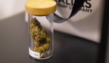 2 rulings just came down on Texas hemp. Here's what you need to know.
