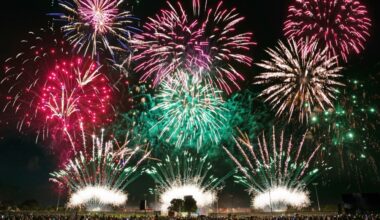 colorful fireworks in the night sky